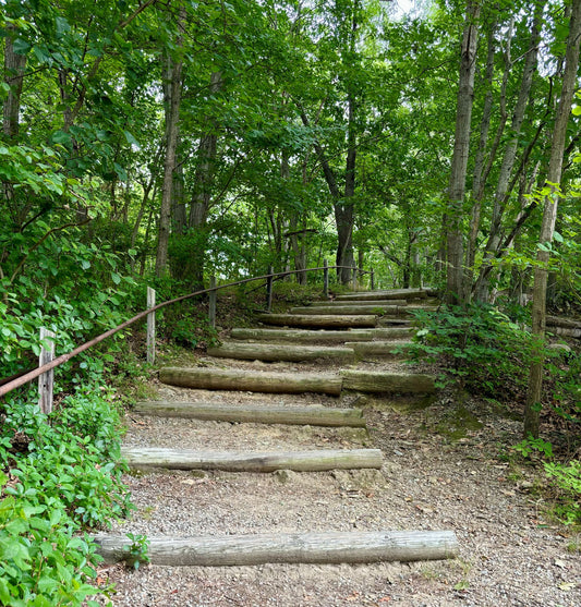 A Scenic Walk in the Park: Facing the Death Stairs, and Getting Fit Along the Way